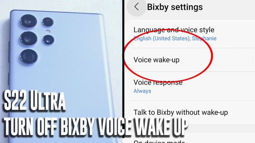 Using Bixby Voice Command